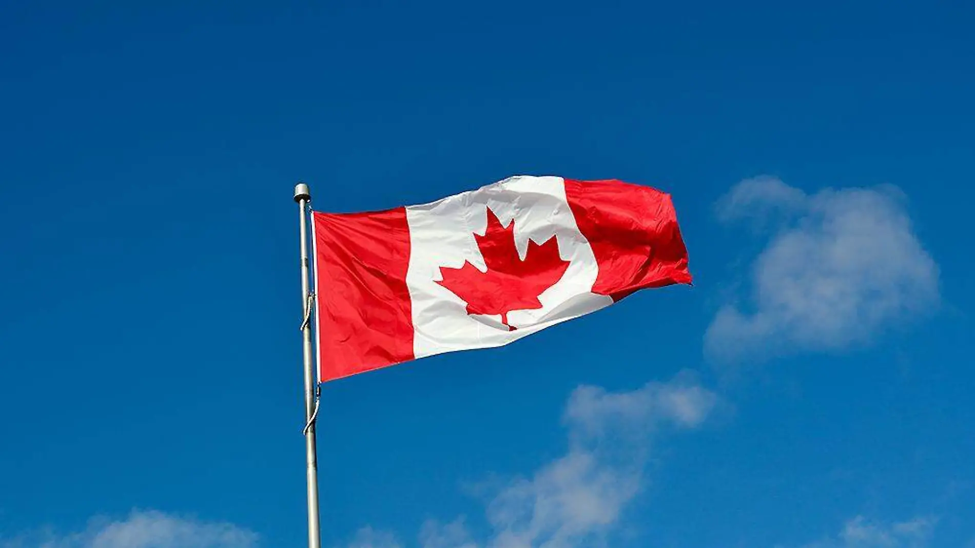 Bandera de Canadá ondeando